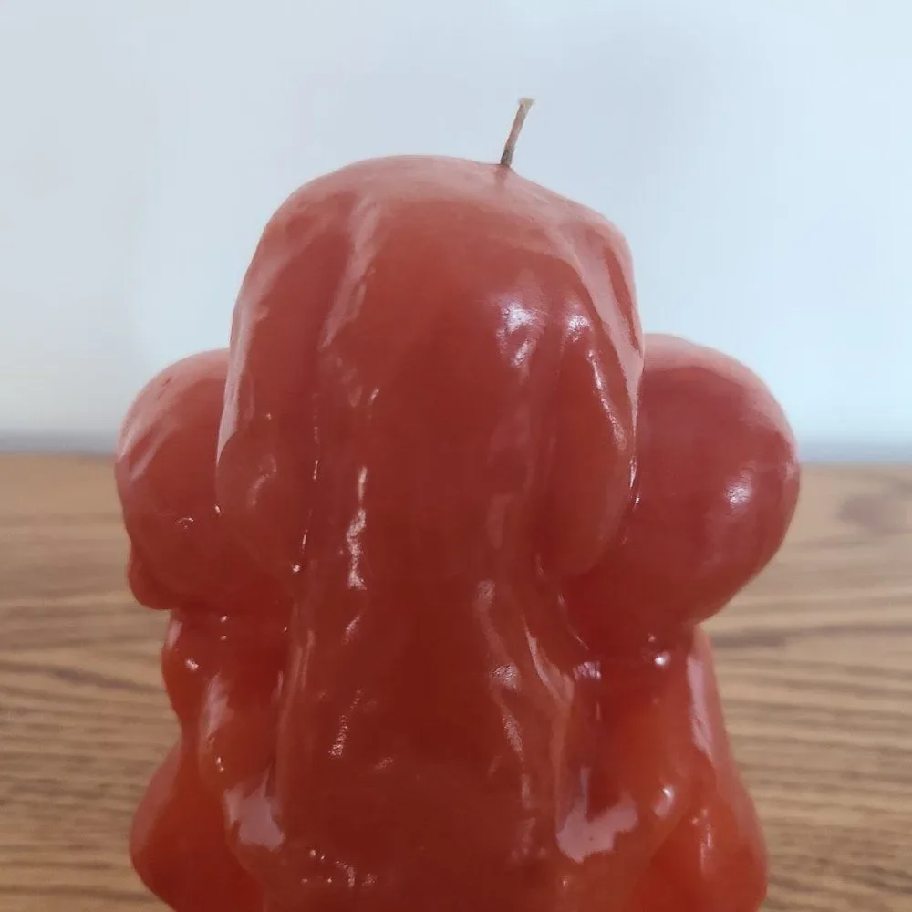 Vintage Novelty Wax Candle - BOY AND GIRL WITH DOG - Vintage Rare UNIQUE